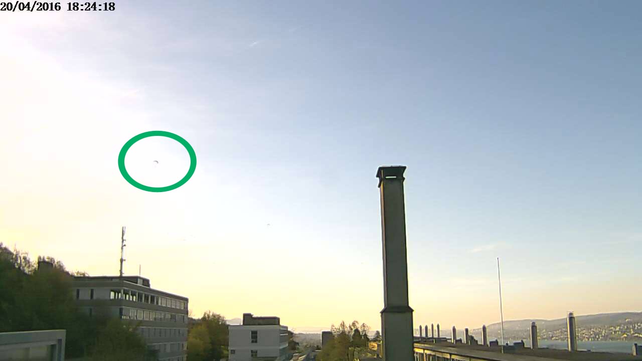 Der Webcam-Schnappschuss zeigt am Himmel einen Gleitschirm im Bisenfluggebiet Frohe Aussicht in Oberrieden.