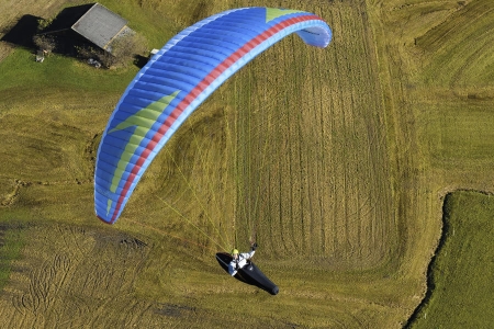 Swing - Nyra RS - Image 7