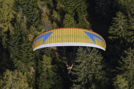 Swing - Nyra RS - Image 8
