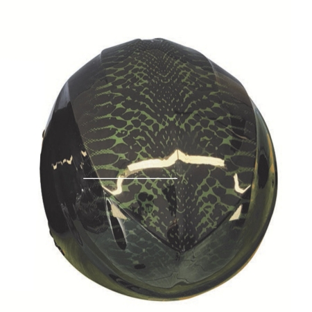 Icaro - Nerv 2.0 - Image 17