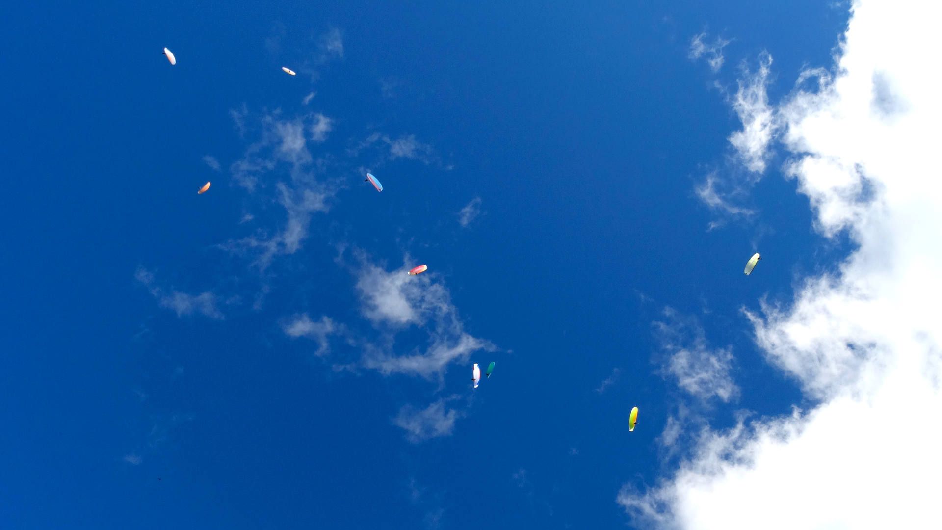 gleitschirm-thermikschlauch-aufdrehen Gleitschirme drehen in der Thermik bis zur Wolkenbasis auf, bevor sie die gewonnene Höhe im Gleitflug zur nächsten Aufwindquelle in Strecke umsetzen.